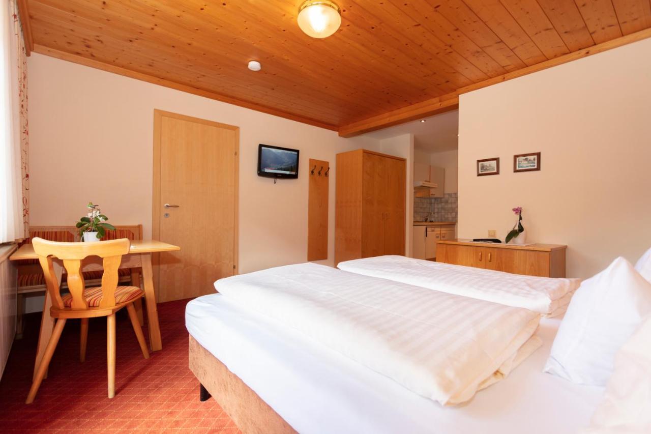 Appartement Schoene Aussicht 잘바흐 힌터글렘 외부 사진